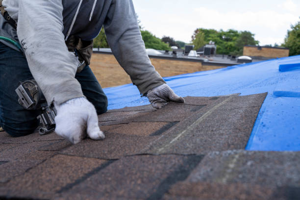 Best Roof Ventilation Installation  in Springfield, OH